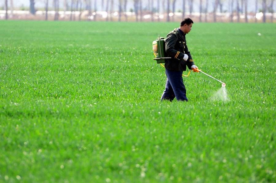 使用气相色谱法检测蔬菜中农药残留